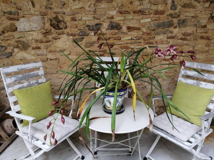 Apartamento El Sosiego Sanlucar de Barrameda Bagian luar foto