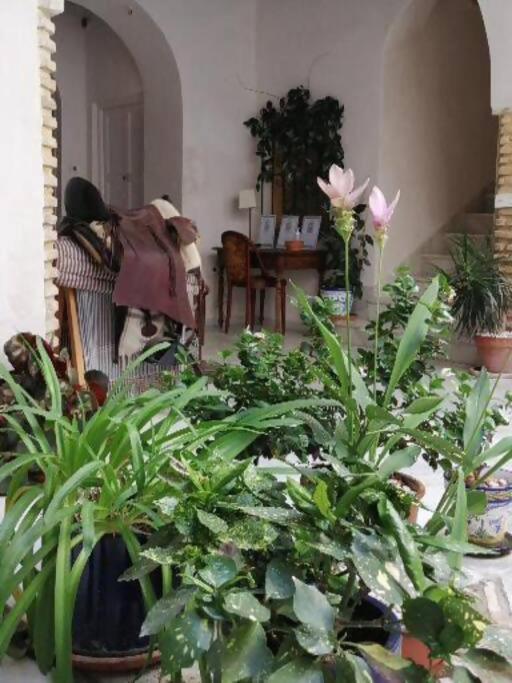 Apartamento El Sosiego Sanlucar de Barrameda Bagian luar foto